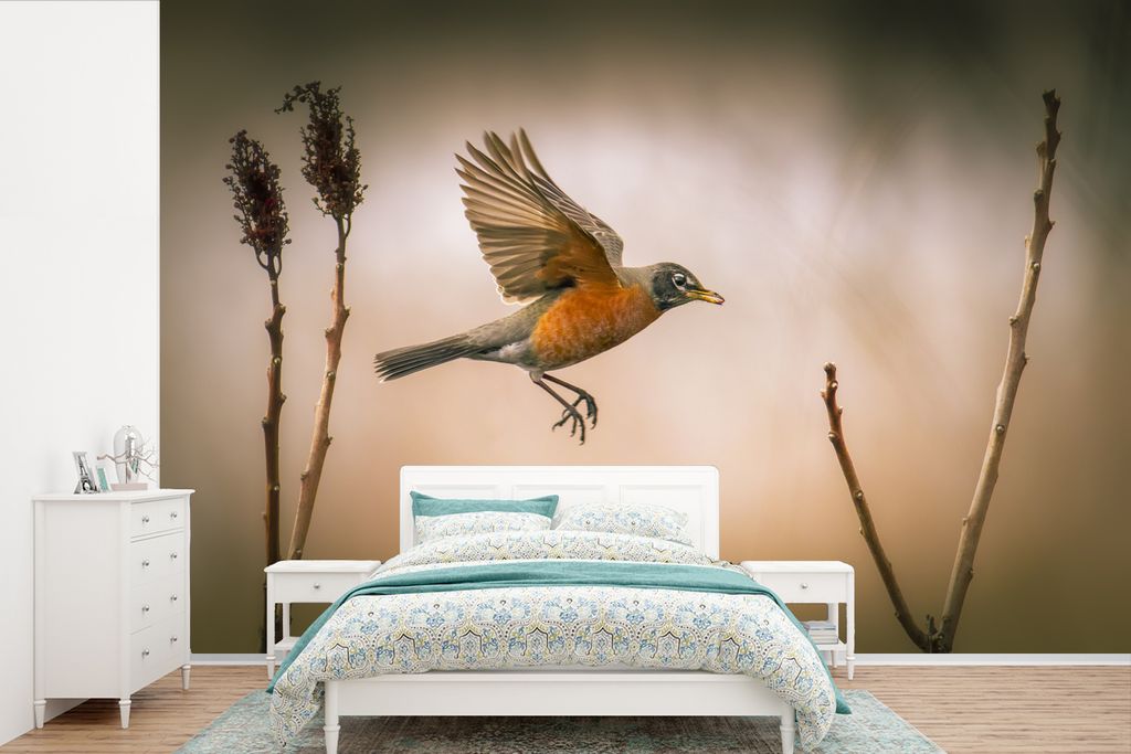 MuchoWow Fototapete für Wohnzimmer oder Schlafzimmer Wandtapete Vinyl Motivtapete Rotkehlchen - Flügel - Natur - 360x240 cm - Vinyl-Tapete