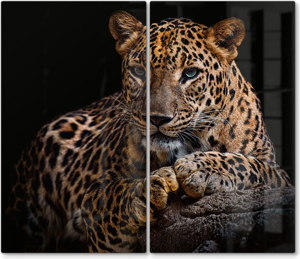 DEQORI Herdabdeckplatte Glas 2-tlg 'Liegender Leopard' Herd Produktbild 
