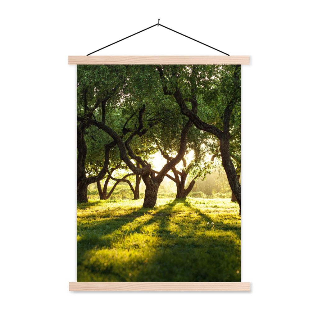 MuchoWow Textilposter Bäume - Natur - Sonne 60x80 cm mit holzfarbenen Rahmen - Wandbild