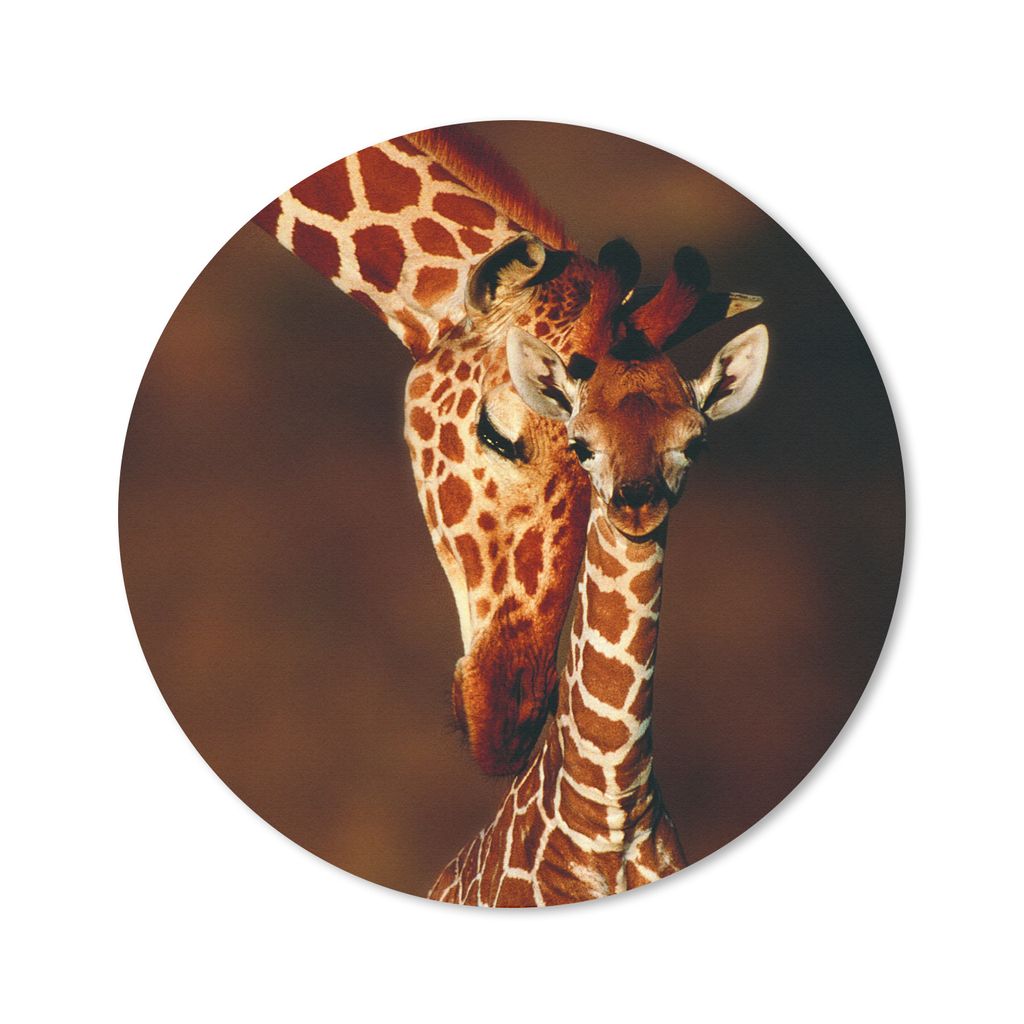 MuchoWow Mauspad Mousepad Giraffe - Kalb - Porträt 20x20 cm - Mousepads - Maus Mat - Pad - Mausunterlage - Schreibtischmatte