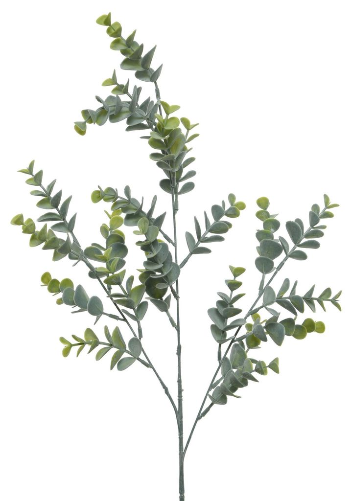 Eukalyptus Zweig künstlich 73cm Produktbild 