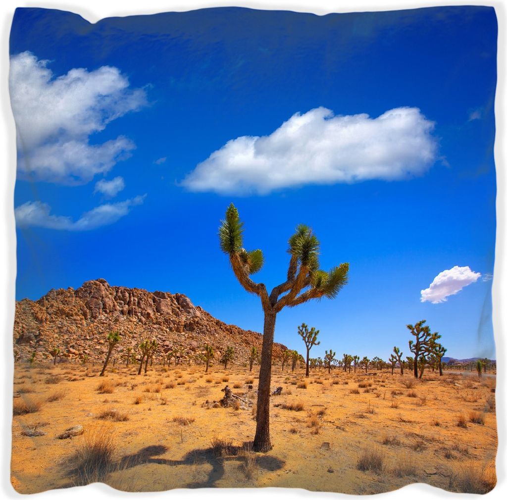 Wallario Premium Kissen, weiche Oberfläche, mit Motiv Palmlilie im Nationalpark Yucca Valley Wüstenlandschaft, Größe: 30 x 30 cm, mit weißer R...