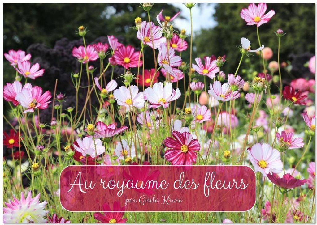Au royaume des fleurs (Calendrier mural 2026 DIN A4 vertical), CALVENDO calendrier mensuel