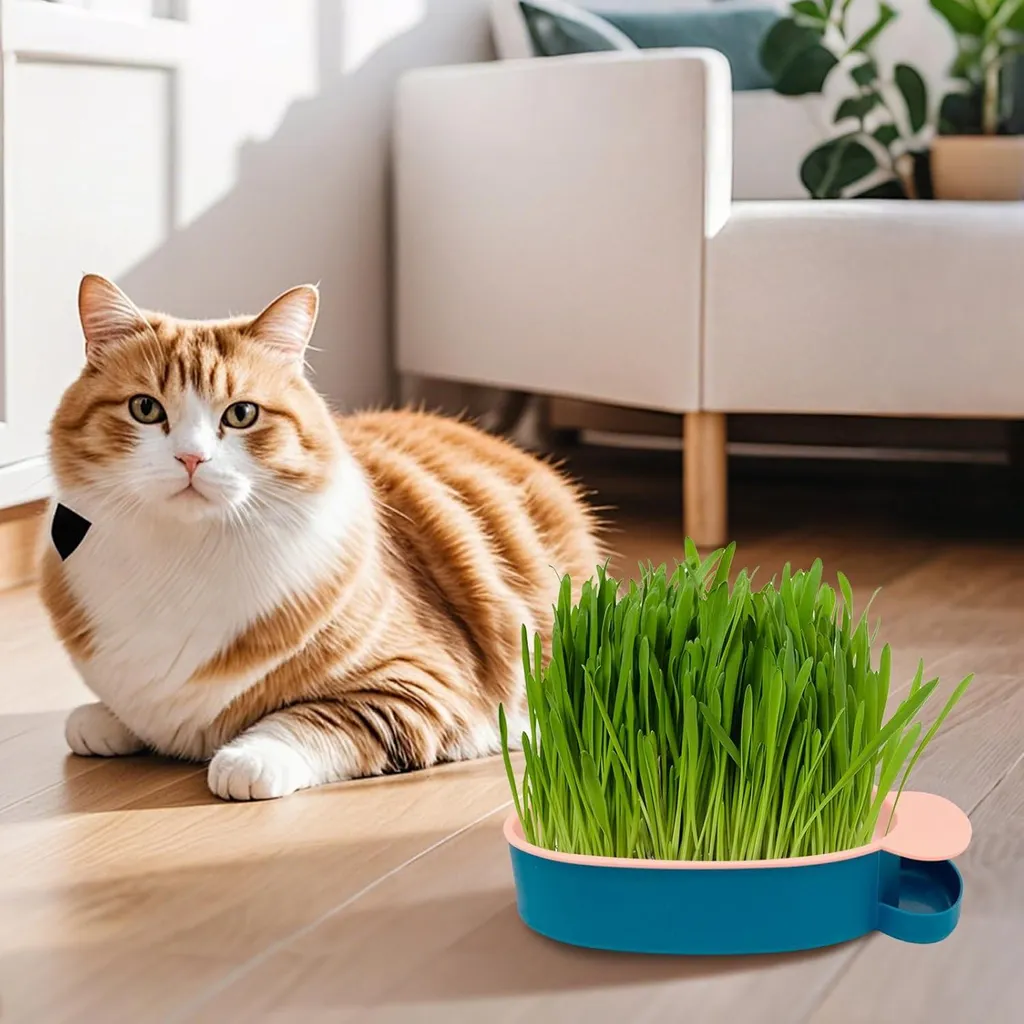 Plateau à algues herbe à chat et kit hydroculture pour semis - Vert