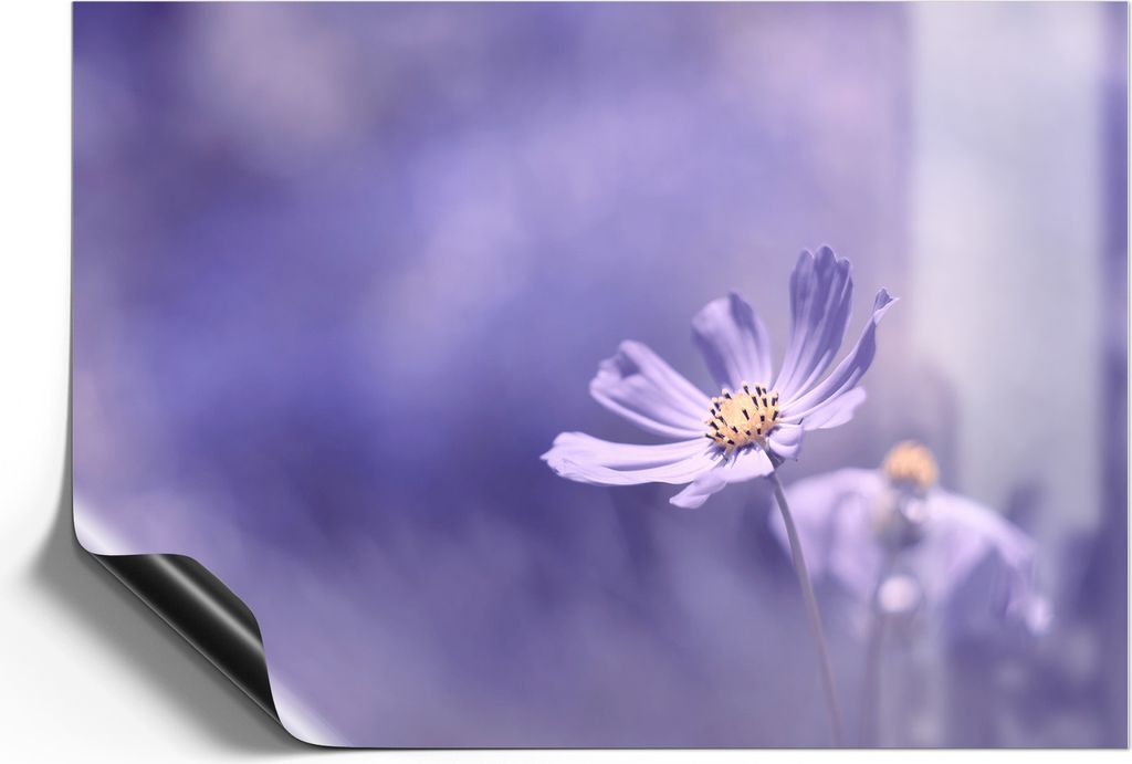 DEQORI Magnetmatte Universal 30x21 cm (A4) 'Lilablütenzauber' Magnetfolie Kalender Planer