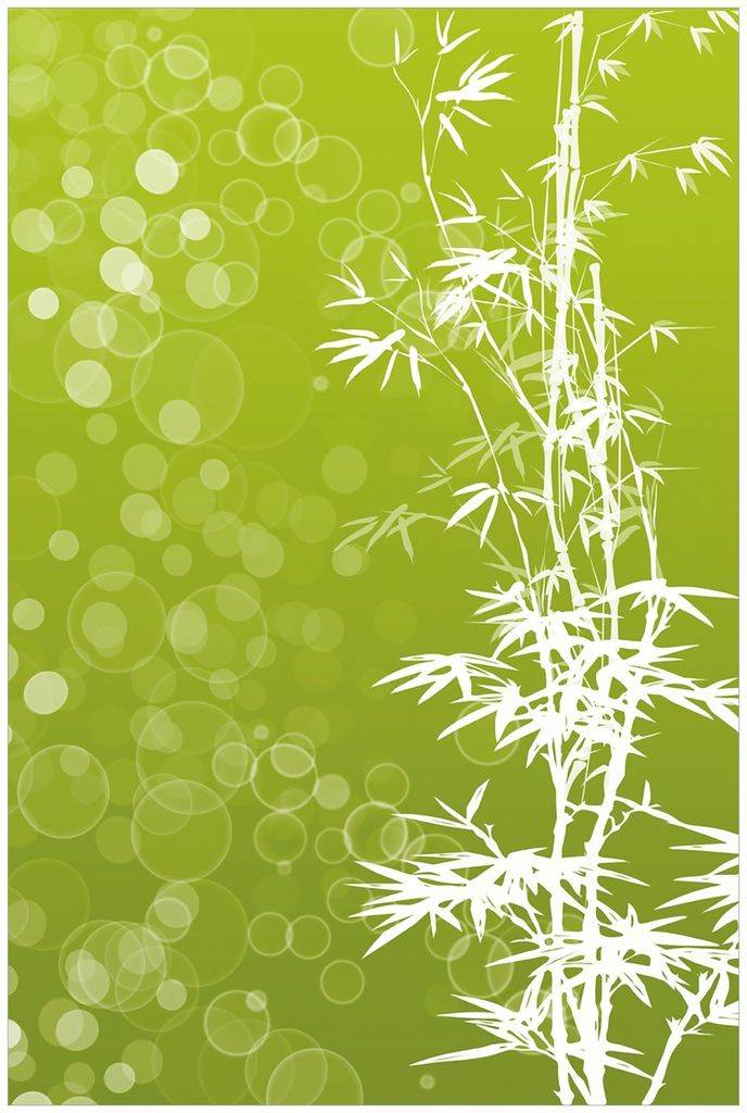 Wallario Premium Glasbild, freischwebende Optik, kräftige Farben, Größe 90 x 60 cm Motiv Bambusmuster grün-weiß