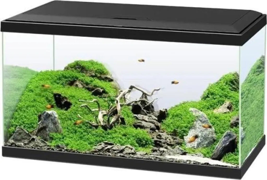 Aquarium Équipé 60 Litres Noir avec Éclairage LED et Filtration Ciano CF80