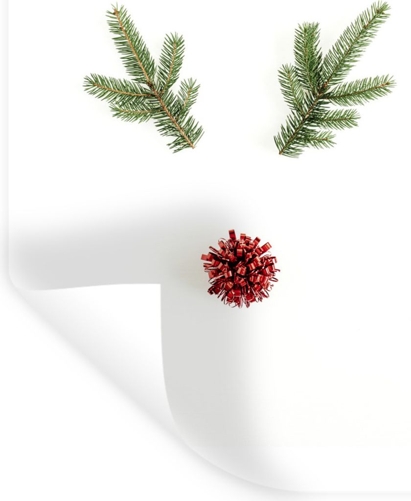 MuchoWow Wandtattoo Wandsticker Wandaufkleber Weihnachten - Zweige - Weihnachtsdekoration 60x90 cm Selbstklebend und Repositionierbar - Sticker -...