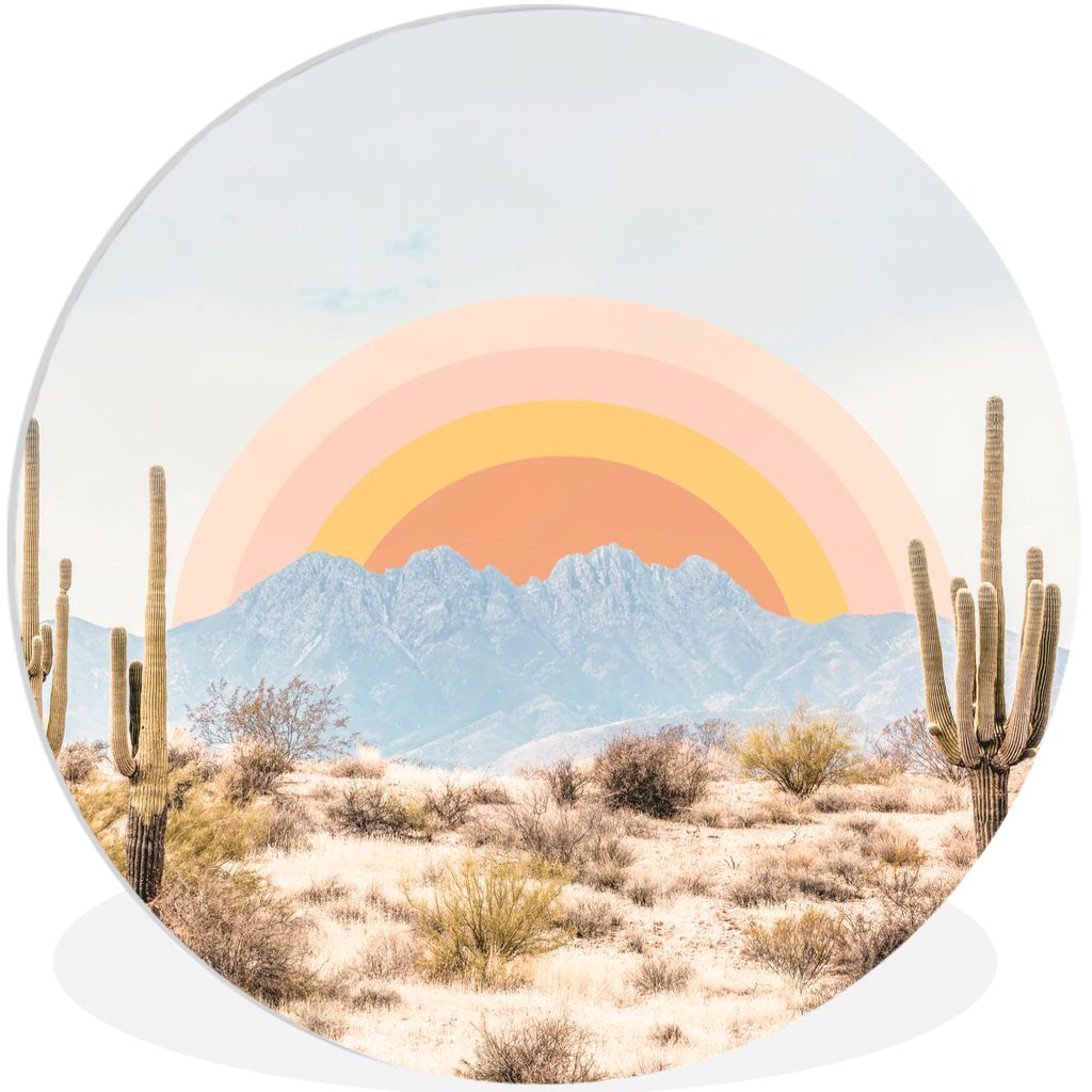 MuchoWow Rundes Wandbild - Runde Bilder Kakteen - Pflanzen - Natur - Sonne Ø 90 cm Kreis Wanddekoration Kunststoff - Wandkreis - Wandschmuck - W...