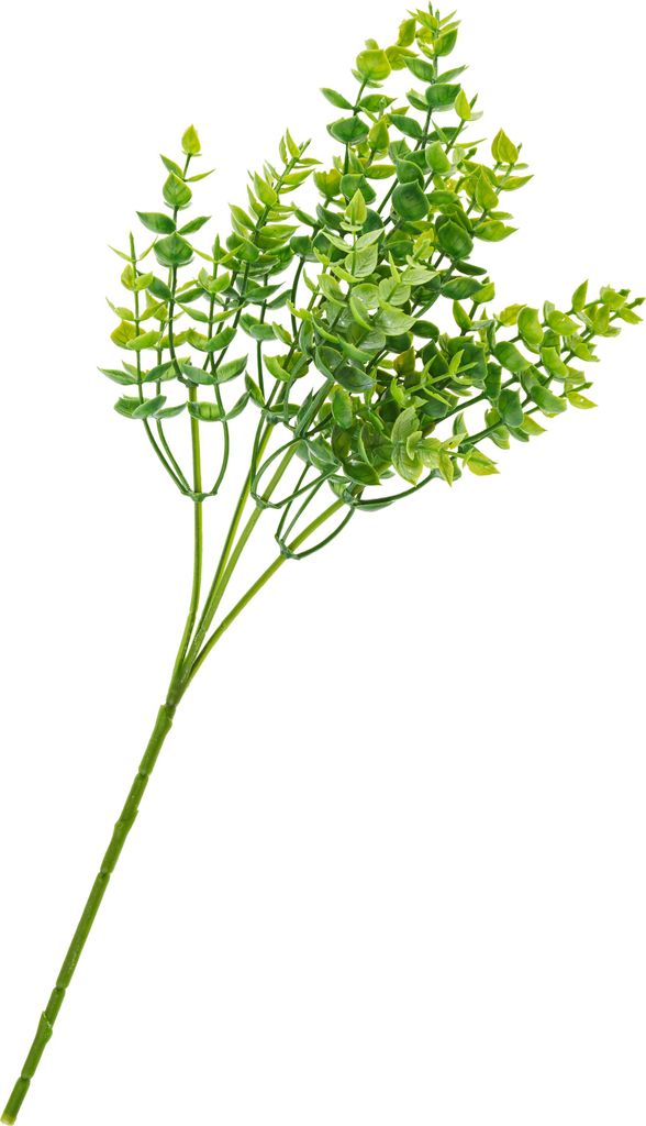 Eukalyptus Busch grün 36 x 15 cm