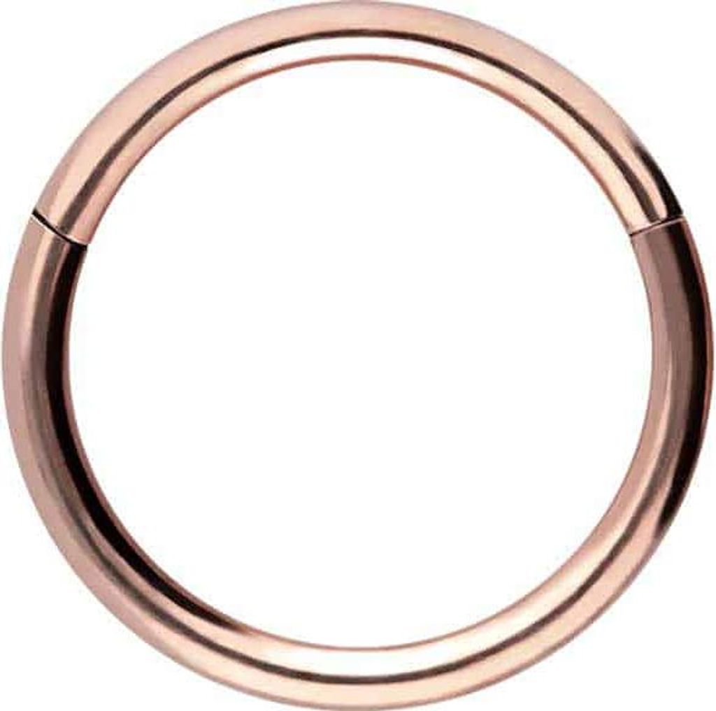 Ohrpiercing, Nasenpiercing, Septum Piercing Chirurgenstahl Segmentring Clicker RoséGold Innendurchmesser: 10mm + Stabstärke: 1,2mm