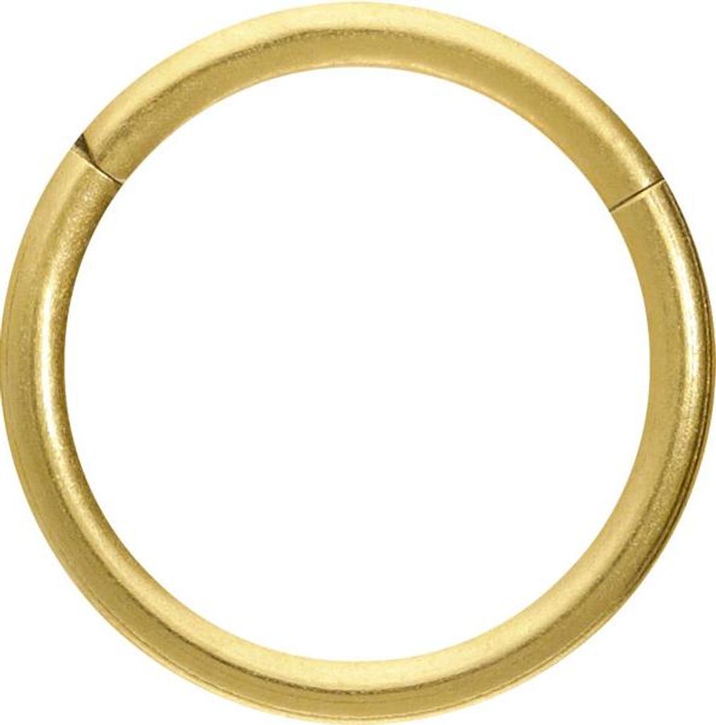 Ohrpiercing, Nasenpiercing, Septum Piercing Titan Segmentring Clicker MATT Gold Innendurchmesser: 8mm + Stabstärke: 0,8mm