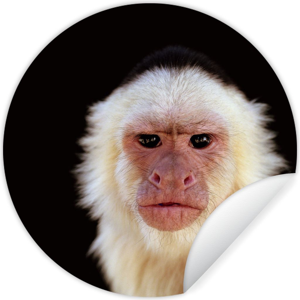 MuchoWow - Wand Kreis - Wand Bild - Foto Tapete - Selbstklebende - Wohnzimmerdekoration - Wand Dekoration - Kinderzimmer