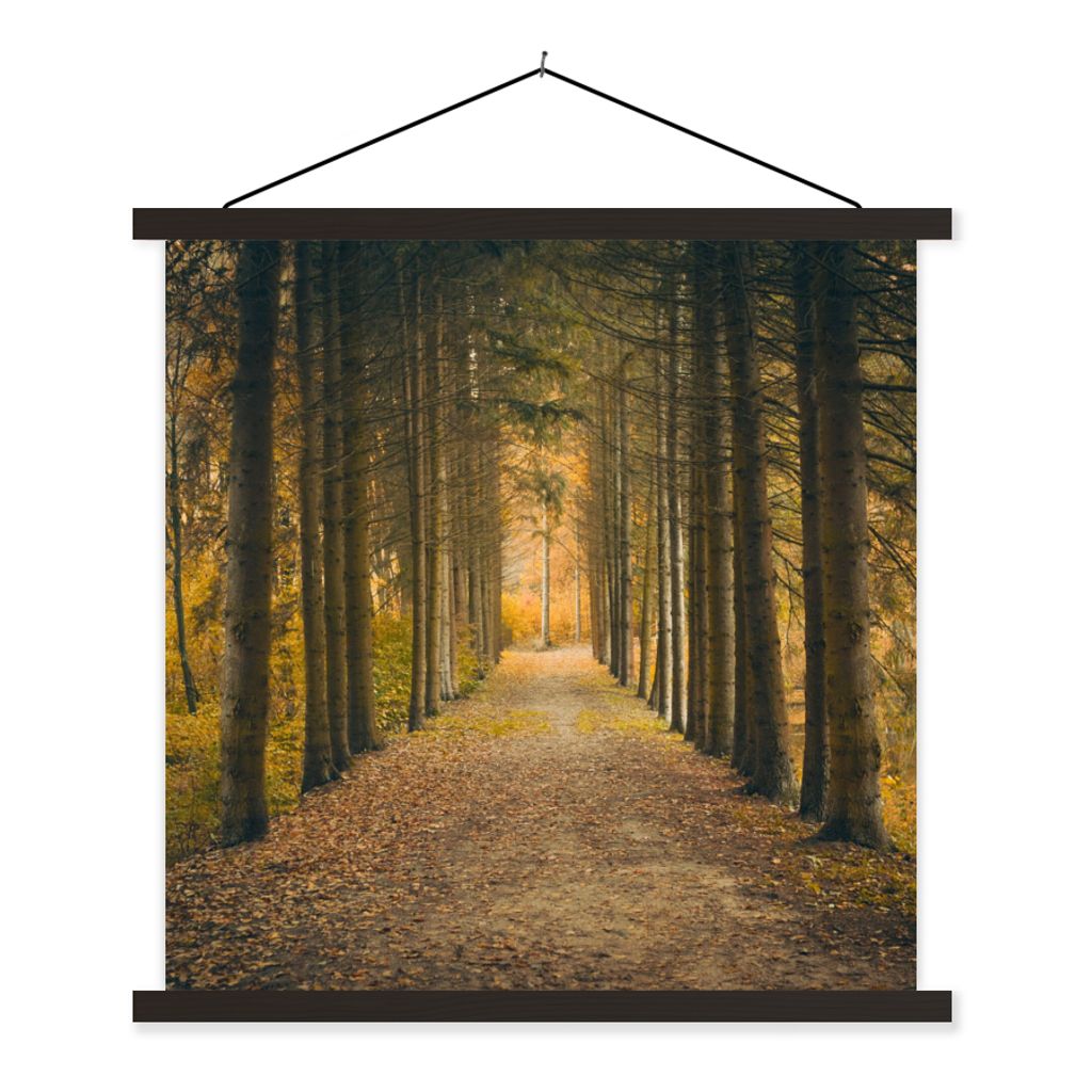 MuchoWow Textilposter Pfad - Bäume - Wald 60x60 cm mit schwarzem Rahmen - Posteraufhänger