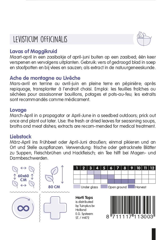 Liebstock | Liebstöckelsamen von Hortitops