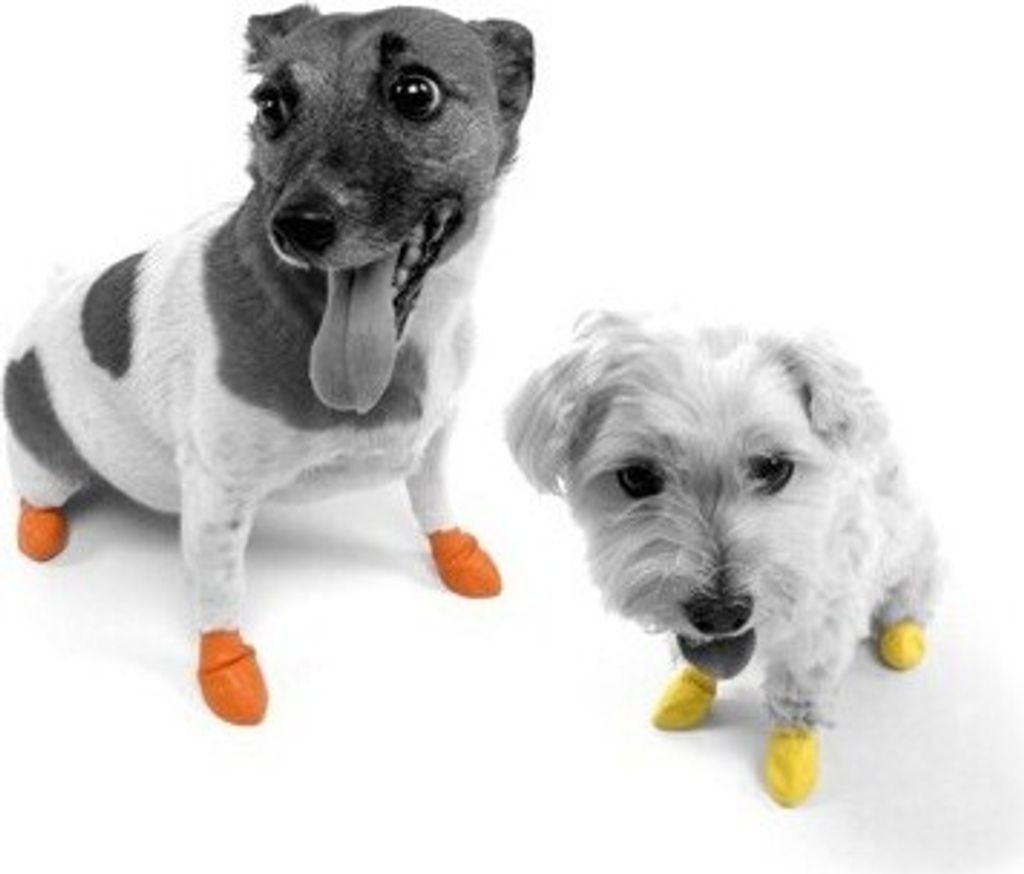 Wasserfester Hundeschuh