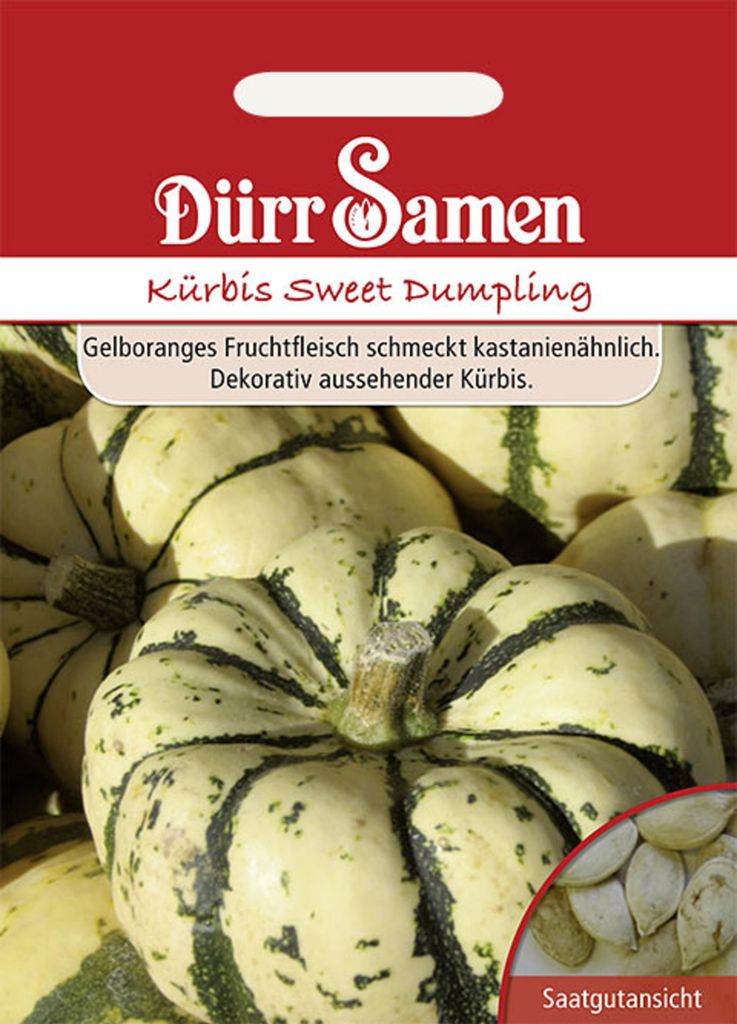 Dürr-Samen - Kürbis Sweet Dumpling - Saatgut - 1011