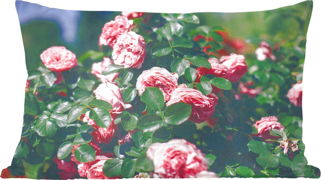 MuchoWow Zierkissen Sofakissen Wohnzimmer Dekokissen 50x30 cm Schöne rosa Rose im Sommergarten - Wohnzimmerdekoration - Polster mit Photo