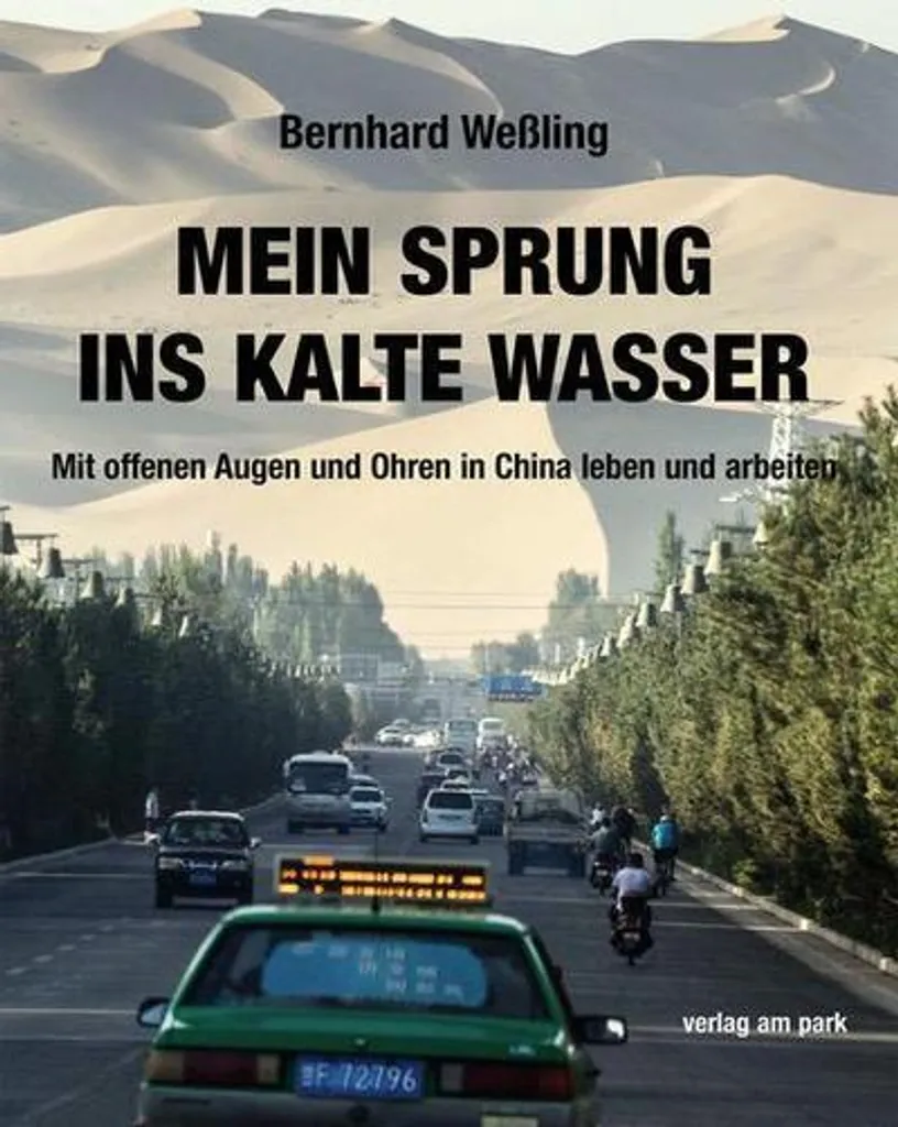 Mein Sprung ins kalte Wasser : récit authentique sur le dépassement