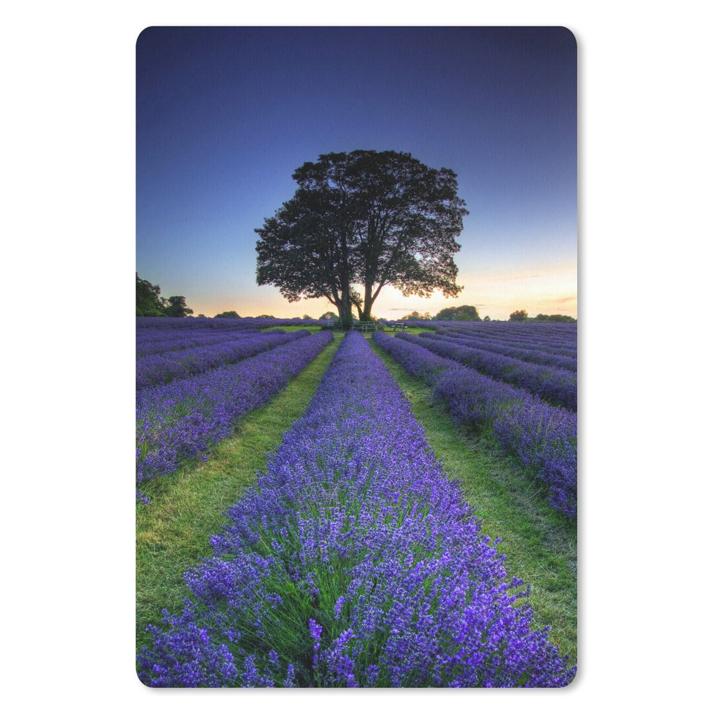 MuchoWow Mauspad Mousepad Reihen von lila Lavendel 18x27 cm - Mousepads - Maus Mat - Pad - Mausunterlage
