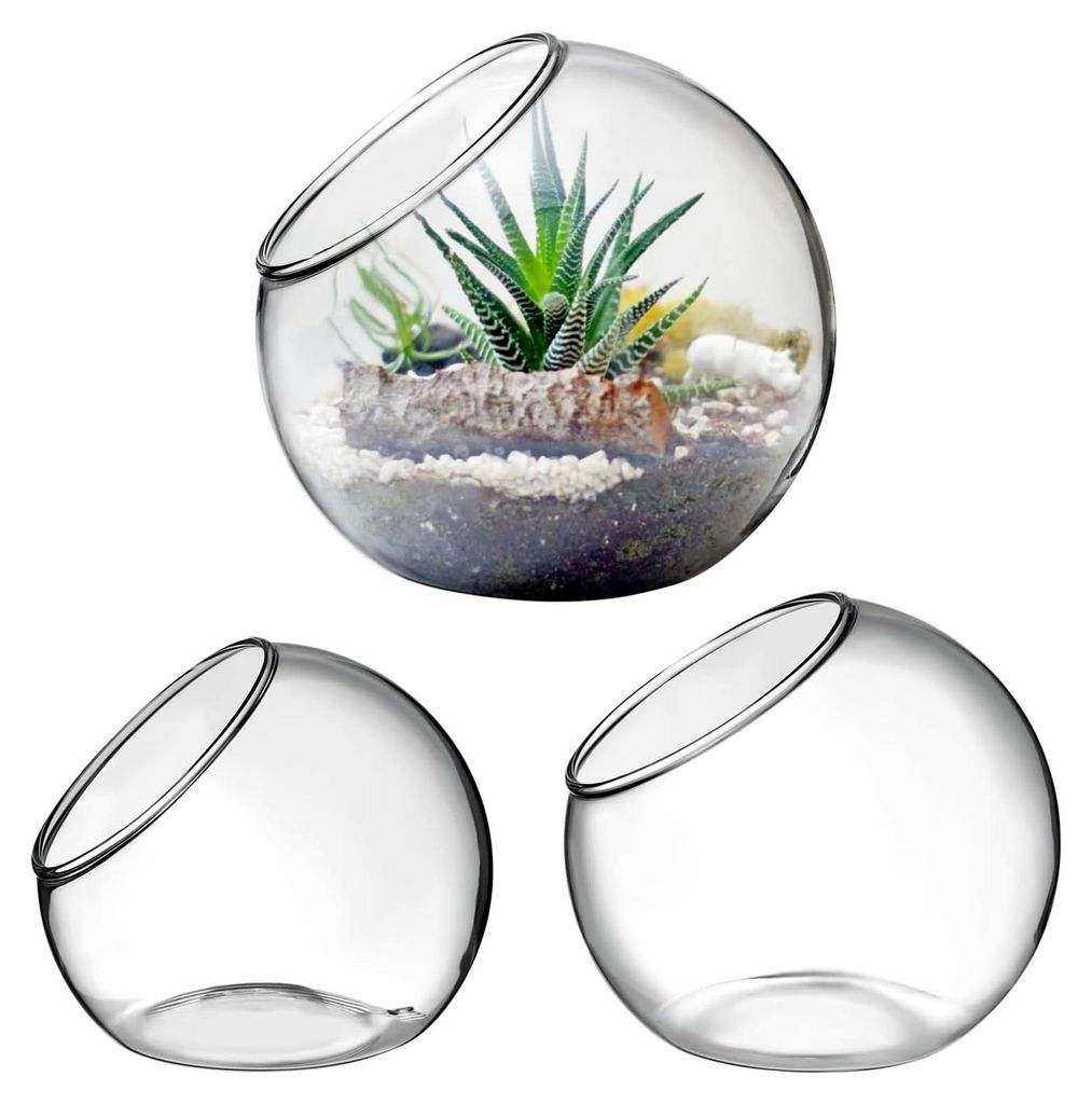 3 Stück Glas-Terrarium für Luftpflanzen, runde Vasen aus Glas, transparente Pflanzbehälter für Wohn- und Büroschmuck