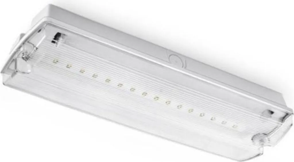 BAES LED 4W IP65 - 4 Pictos inclus - Éclairage autonome haute qualité