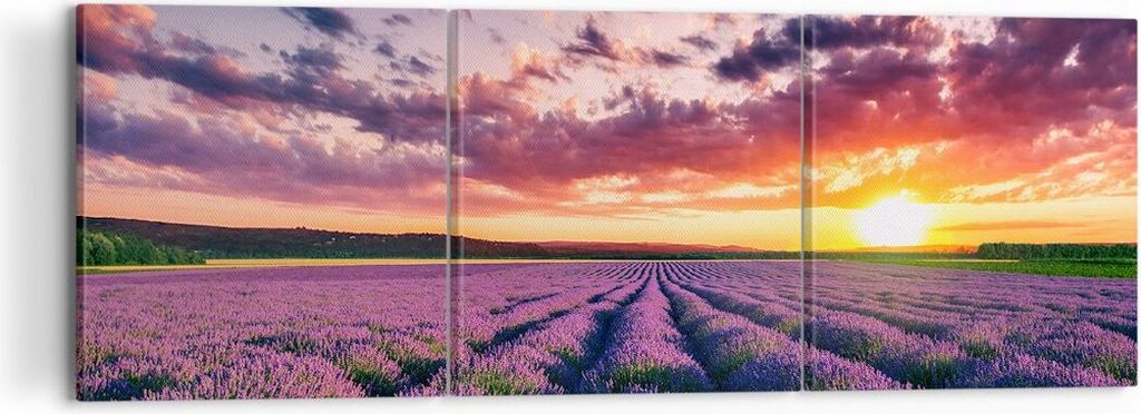 Bild auf Leinwand - Leinwandbild - Lavendel Berge Feld - 120x40cm - Wand Bild - Wanddeko - Leinwanddruck - Bilder - Kunstdruck - Wanddekoration - L...