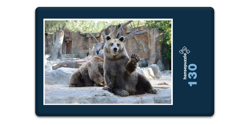 hansepuzzle 18314 - Bären Puzzle, 130 Teile, Natur, 28,7 x 20,0cm mit hochwertiger Aufbewahrung, Kartonbox und wiederverschließbarem Beutel