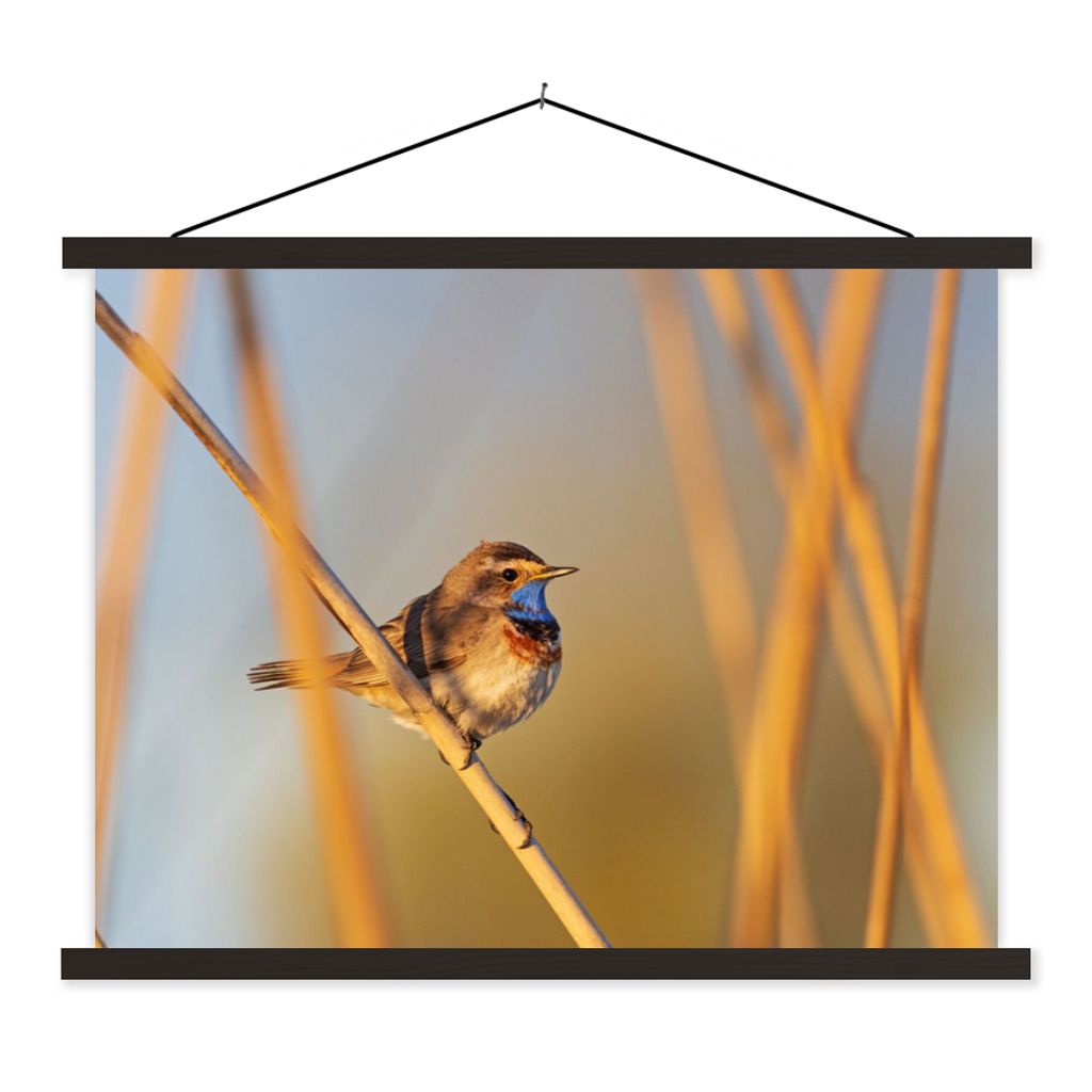 MuchoWow Textilposter Vögel - Blaukehlchen - Schilf 150x113 cm mit holzfarbenen Rahmen - Poster