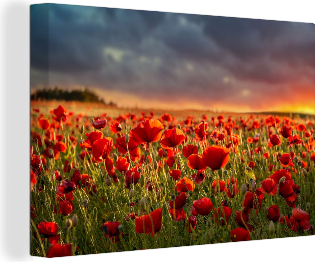 OneMillionCanvasses - Leinwandbilder - 140x90 cm, Sonnenuntergang über einem Feld von Mohnblumen, Wandbilder Kunstdruck Wanddekoration - Foto au...