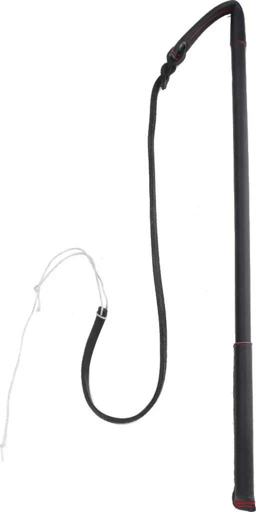 Laisse longue de 10m pour chien de chasse et chien de garde robuste