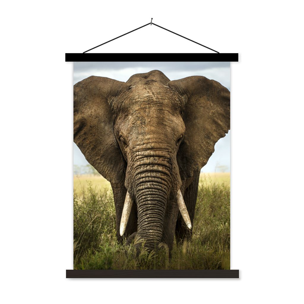MuchoWow Textilposter Elefant - Natur - Gras - Tiere - Landschaft 60x80 cm mit schwarzem Rahmen - Plakathalter