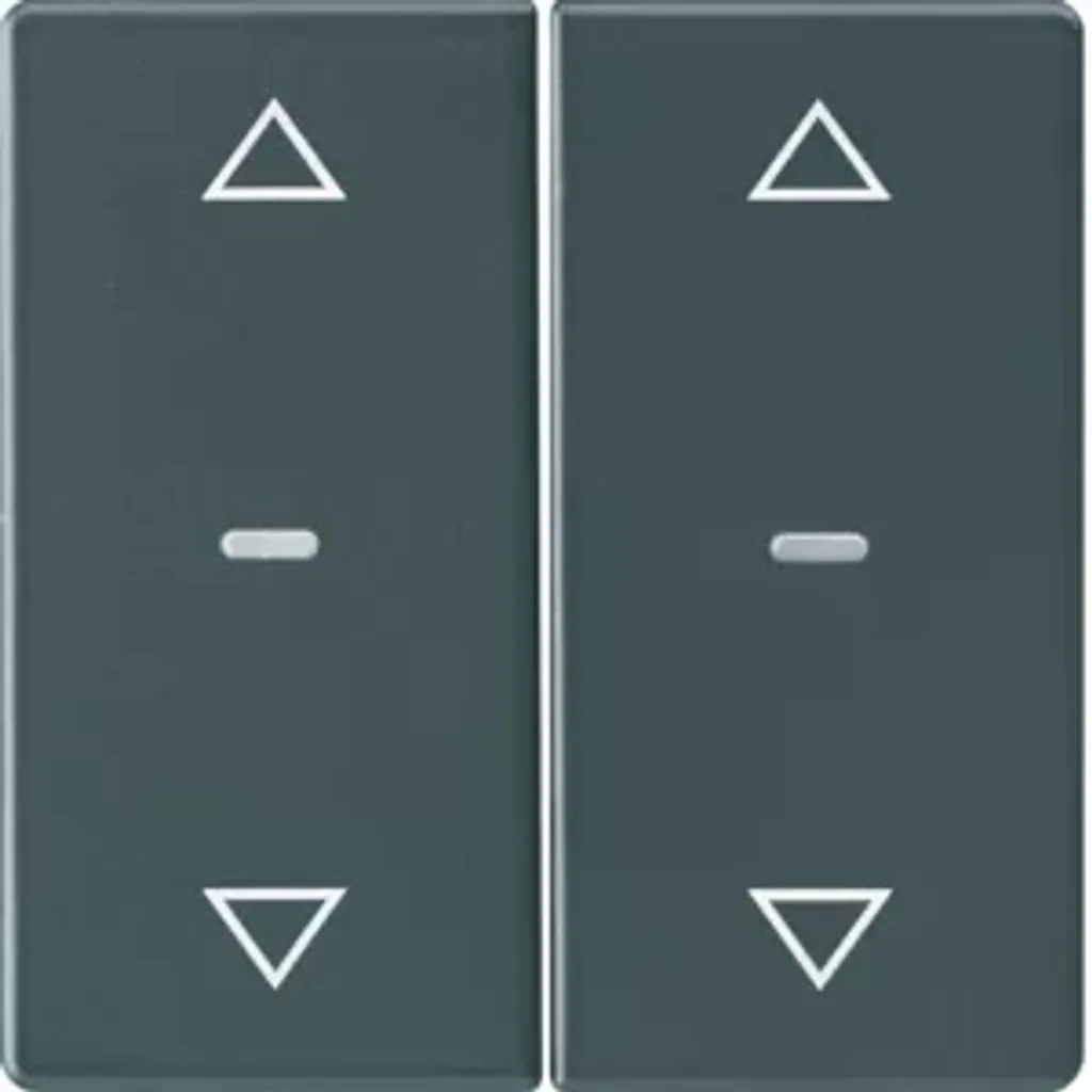 Bouton Berker KNX Q.X Anthracite Velours 2 Touches avec Flèches Gravées