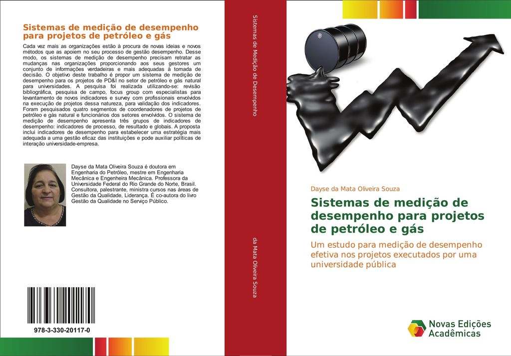 Sistemas de medição de desempenho para projetos de petróleo e gás