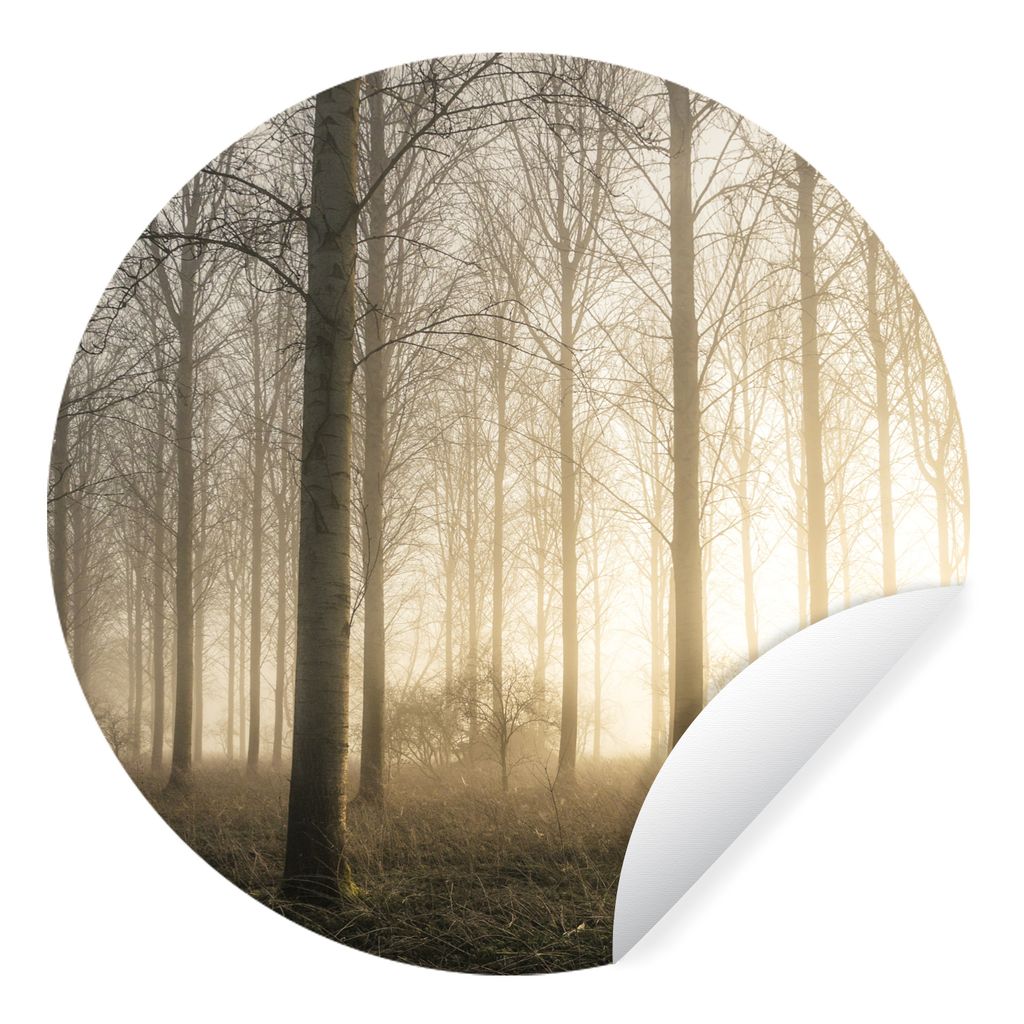 MuchoWow Runde Wandtattoo - Wandsticker Tapete Aufkleber Wald - Sonne - Nebel Ø 30 cm Selbstklebend und Repositionierbar - Wandaufkleber - Kreis...