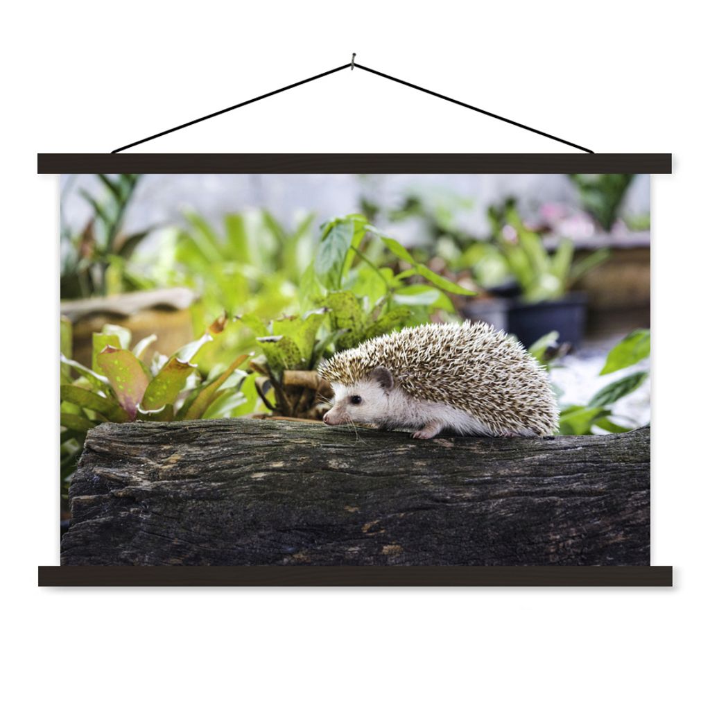MuchoWow Textilposter Igel läuft auf Baumstumpf 90x60 cm mit schwarzem Rahmen - Aufhängungssatz
