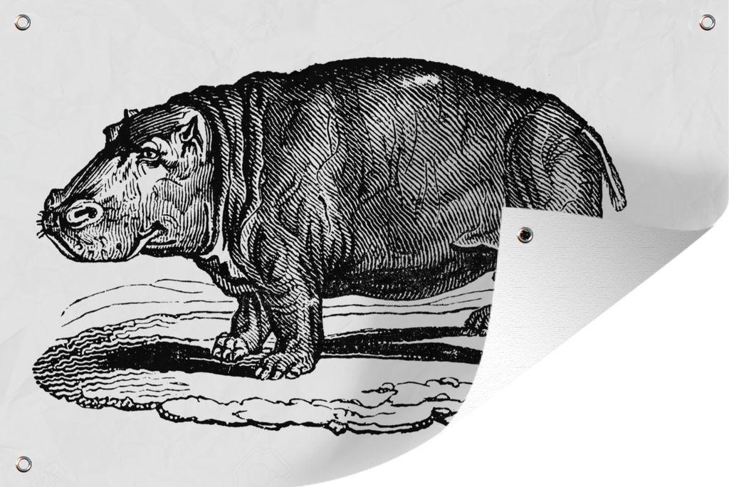 MuchoWow 60x40 cm Outdoor-Poster Gartendeko Sichtschutz Garten Poster für den Garten Illustration eines laufenden Nilpferds