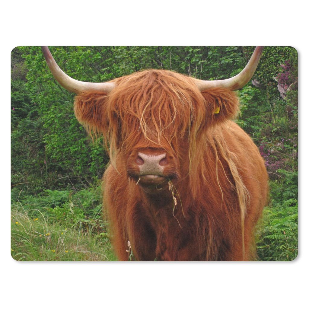 MuchoWow Mauspad Mousepad Schottischer Highlander - Kuh - Gras 40x30 cm - Mousepads - Maus Mat - Pad - Mausunterlage - Anti Rutsch
