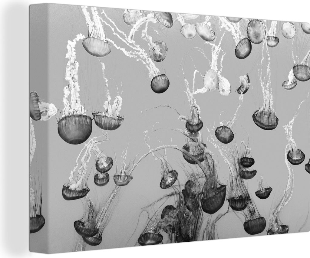 OneMillionCanvasses - Leinwandbilder - 150x100 cm, Meer - Qualle - Schwarz - Weiß, Wandbilder Kunstdruck Wanddekoration