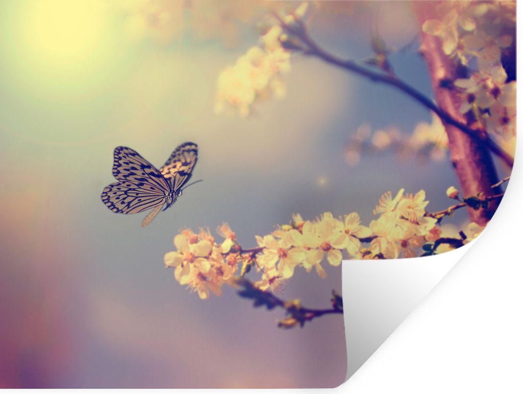 MuchoWow Wandtattoo Wandsticker Wandaufkleber Schmetterlinge - Blüte - Zweig - Baum 80x60 cm Selbstklebend und Repositionierbar - Faltenfrei
