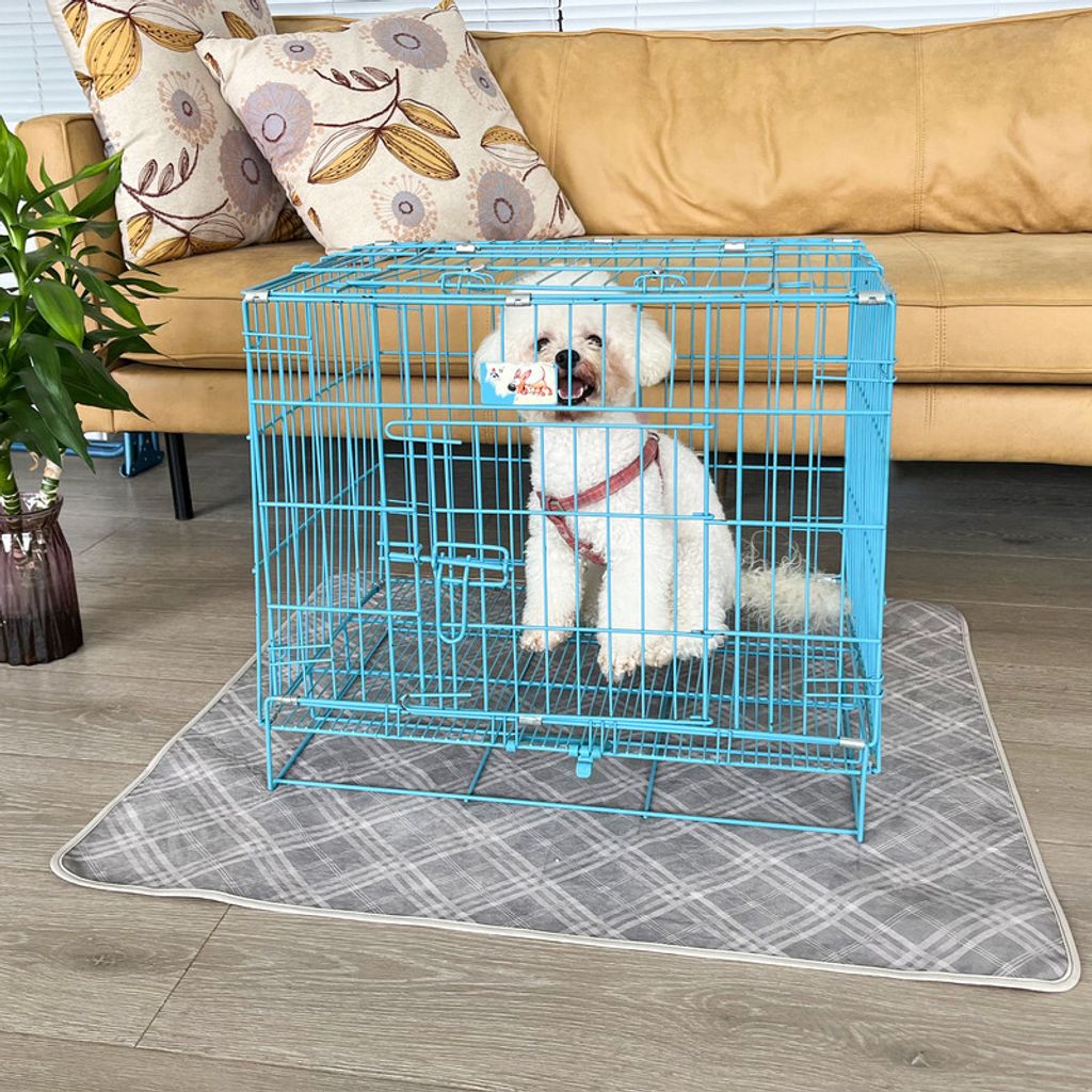 Tapis de pipi réutilisable pour chien et chat - 🐶 Monchienchat