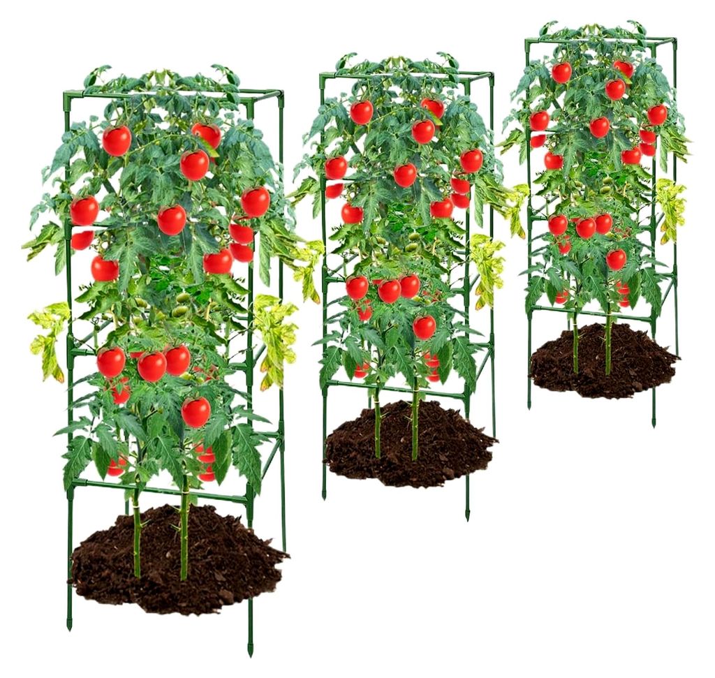 Tomatenstützen für den Garten - Spalier für Pflanzkübel, stabiles Klettergerüst für Rosen, Pfingstrosen und Gurken