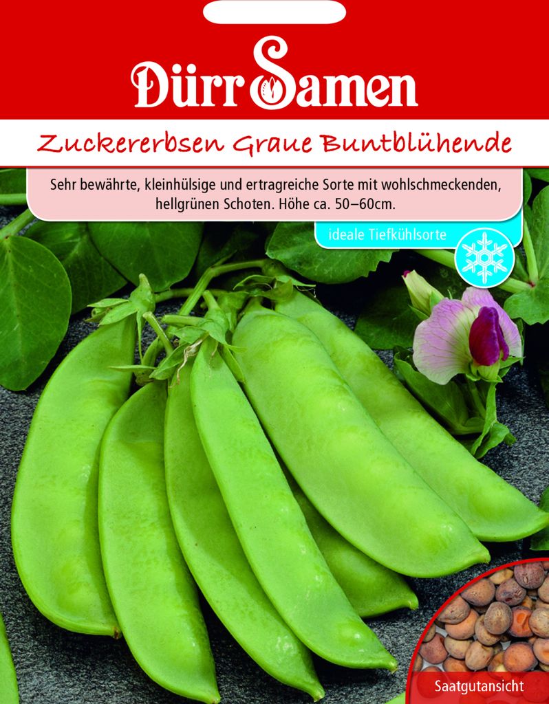Dürr-Samen - Zuckererbsen Graue Buntblühende | Kaufland.de