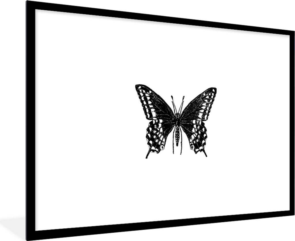 MuchoWow® Gerahmtes Poster Schmetterling - Tiere - Retro - Produktbild 