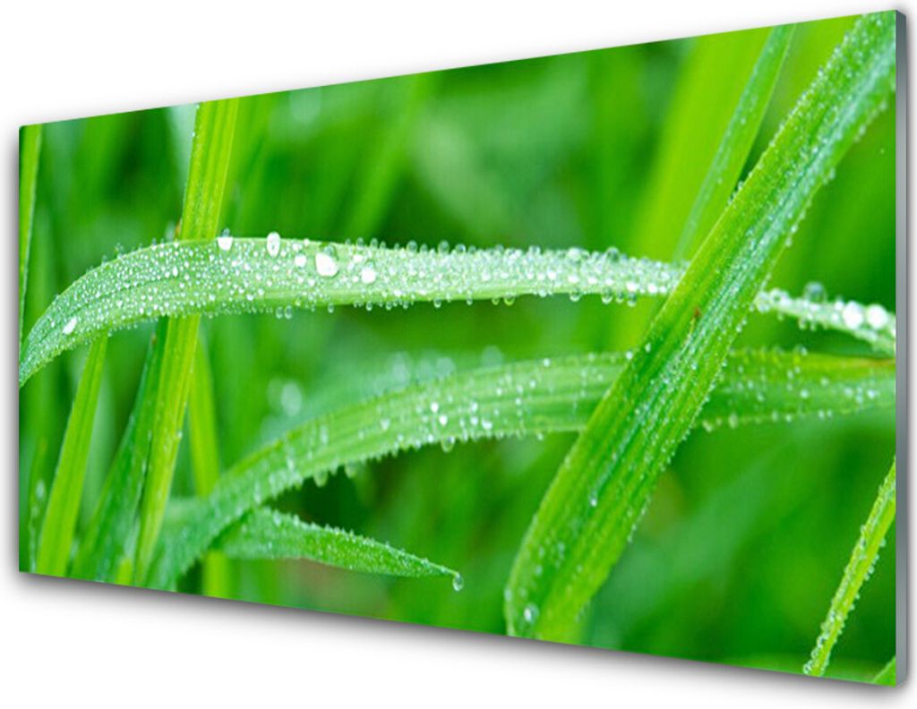 Acrylglasbilder 100x50 Wandbild Druck Gras Natur