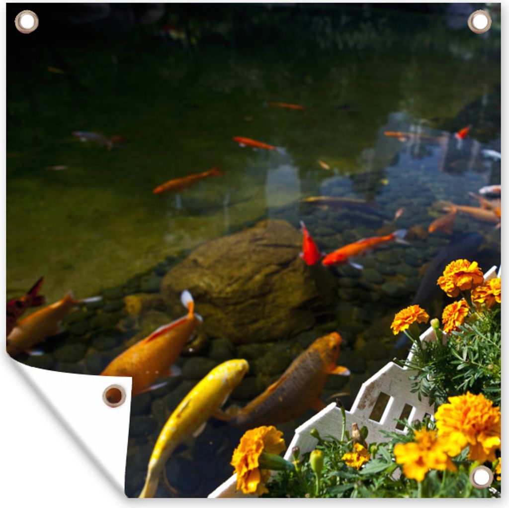 MuchoWow 50x50 cm Outdoor-Poster Gartendeko Sichtschutz Garten Poster für den Garten Koi-Karpfen in einem Teich mit Blumen