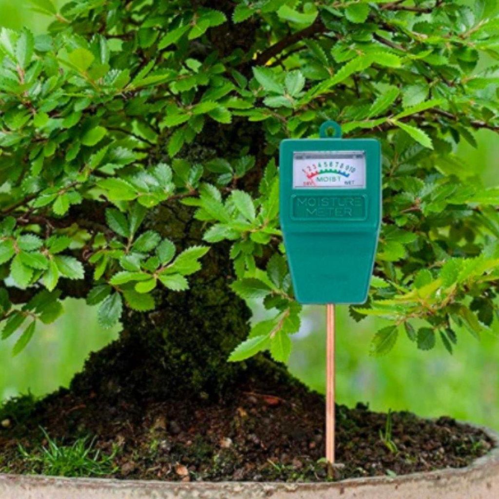 Jumada's - „Feuchtigkeitsmesser – Grün 28 cm – Luftfeuchtigkeitsmesser/Feuchtigkeitsmessgerät – Gartenartikel/Zubehör“