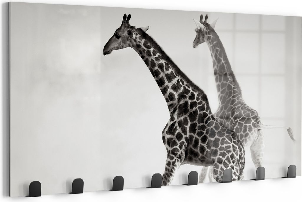 DEQORI Kleiderhaken Glas 60x30 cm 'Grazie der Wildnis' Wand Garderobe beschreibbar Paneel