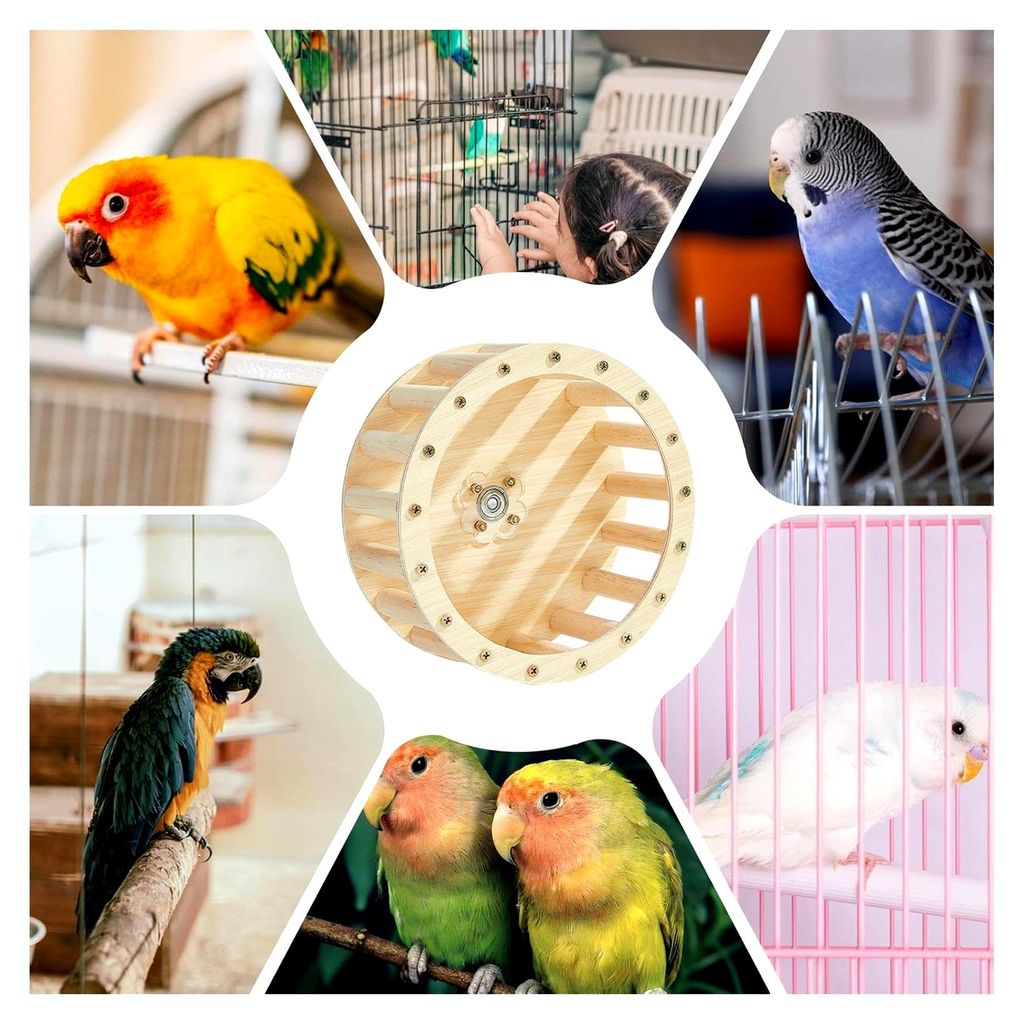 Avian Intelligence Wheel – Bewegungsspielzeug für Haustiervögel, Ausrüstung zur geistigen Bereicherung