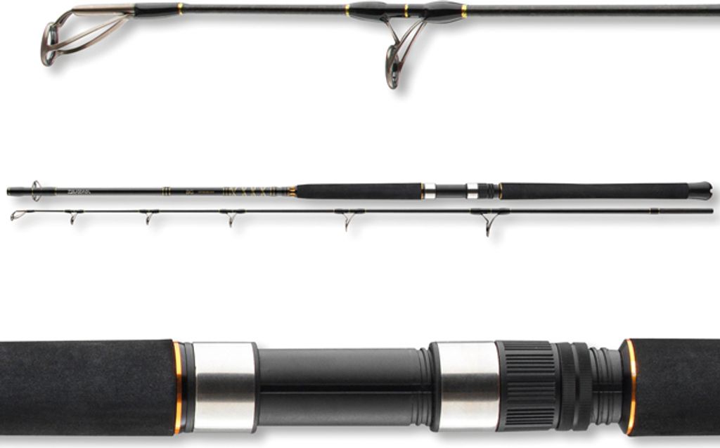 DAIWA BG Popper, 2,3m, 7,54ft, 40-150g, 2 Teile, Jigging Angelrute, 11907-235